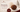 Revered for Centuries: Understanding the 14 Mukhi's Deeper Claim