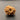 14 mukhi fourteen face nepali rudraksha front image