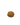 10 Mukhi Nepali Rudraksha Small