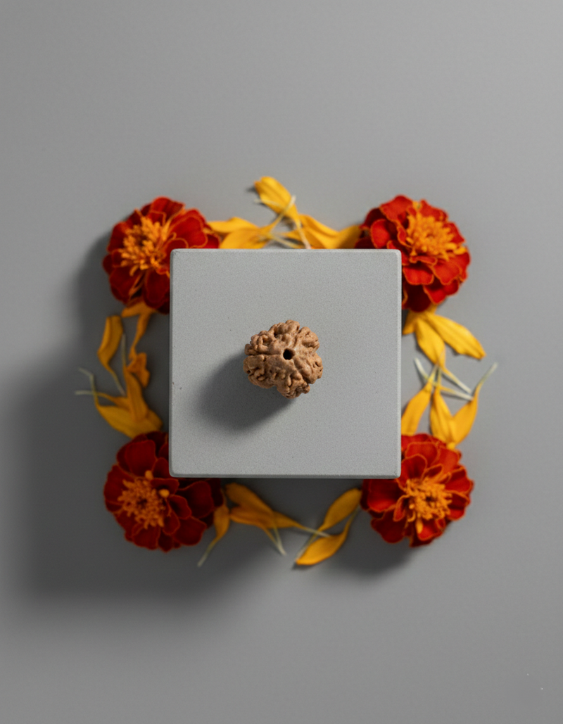 3 Mukhi Nepali Rudraksha 18MM – Best Bead for Energy & Confidence