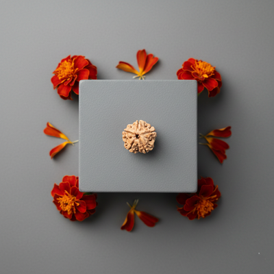 5 Mukhi Nepali Rudraksha 18MM original bead for peace protection and spiritual balance