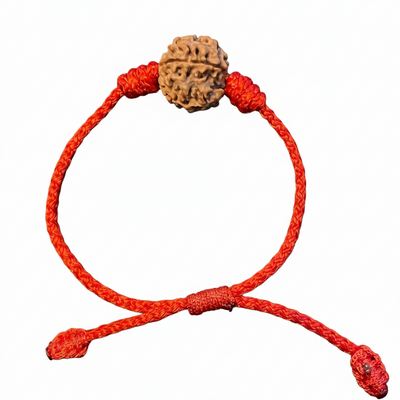 Original 5 Mukhi Nepali Rudraksha Bracelet – Adjustable Thread for Peace & Protection