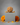 7 Mukhi Nepali Ganesh Rudraksha original rare bead for wealth prosperity and obstacle removal