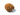 Original 7 Mukhi Nepali Ganesh Rudraksha bead 